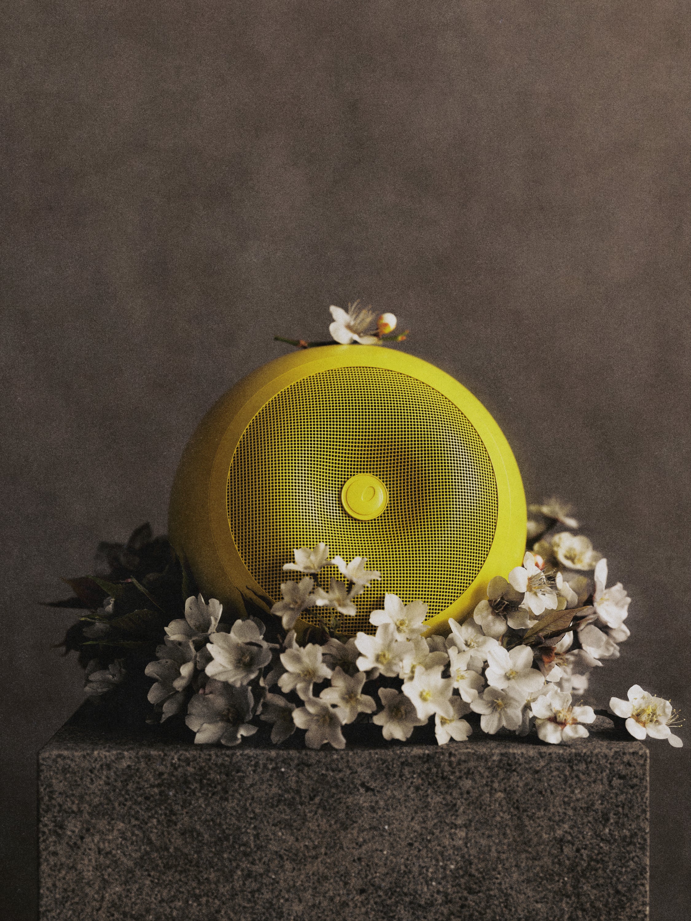 Solar Groove [pre-order]